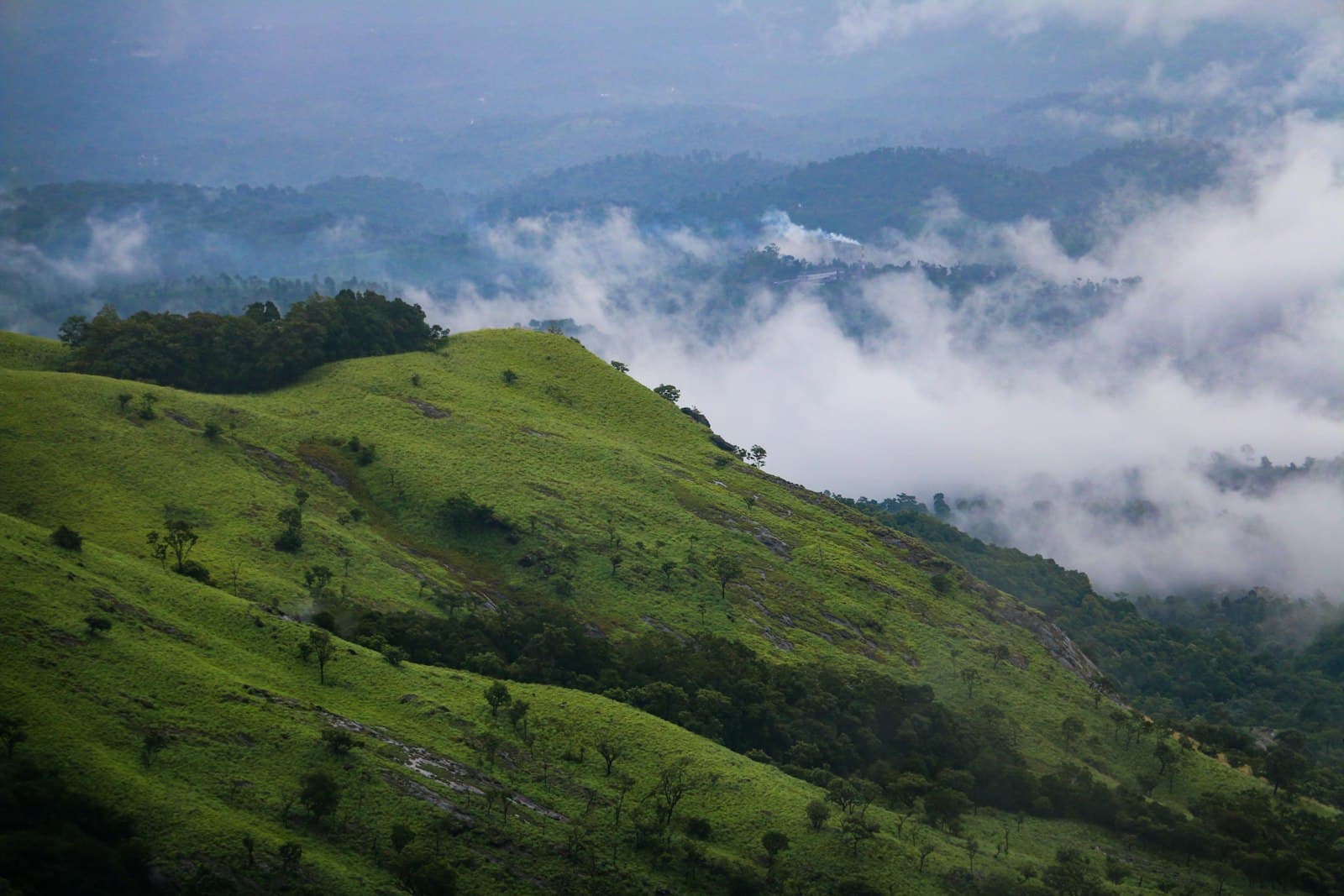 Wayanad — a lush green hillside covered in clouds and trees