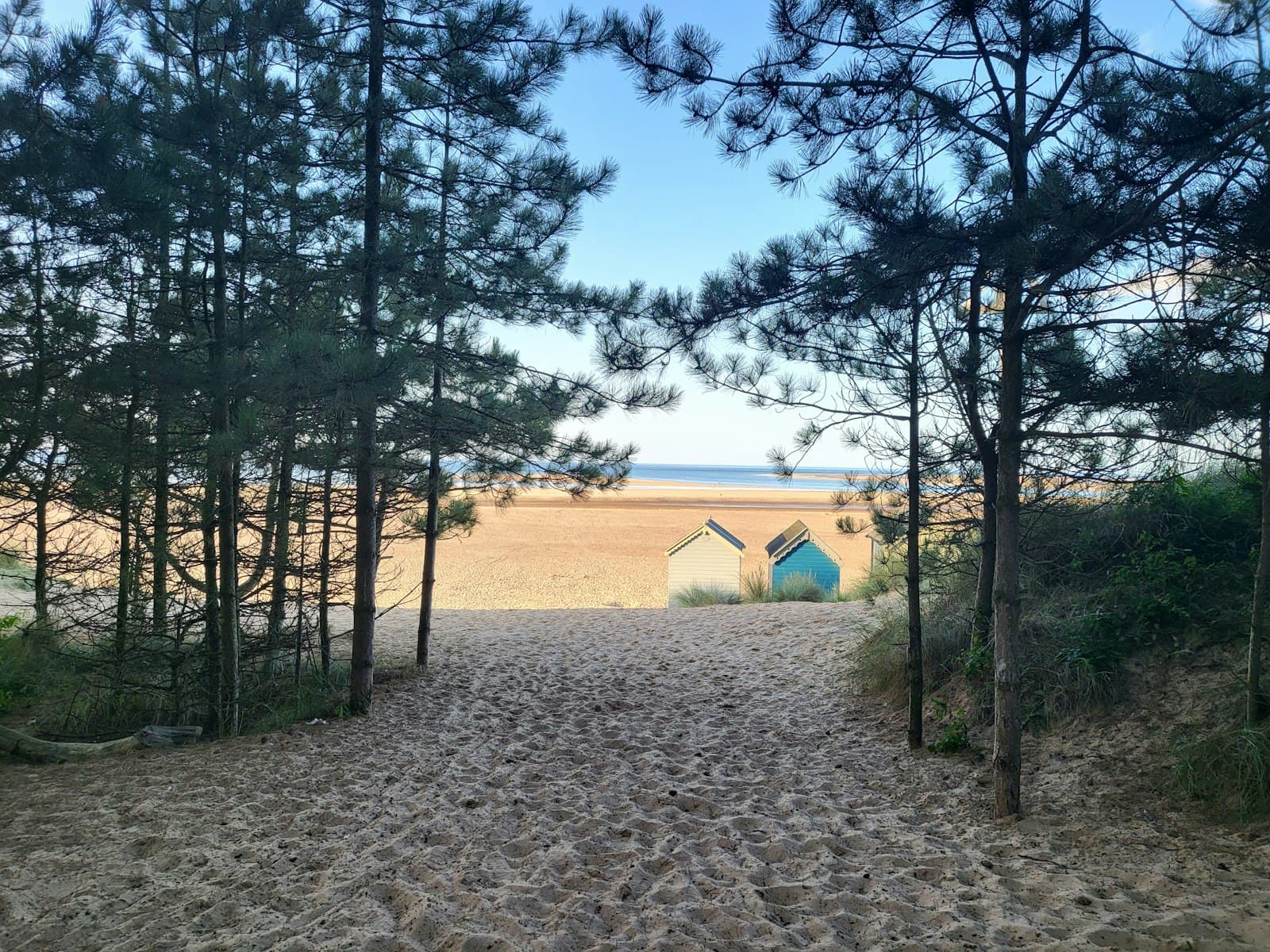 Wells-next-the-Sea — a sandy path leading to a beach with trees