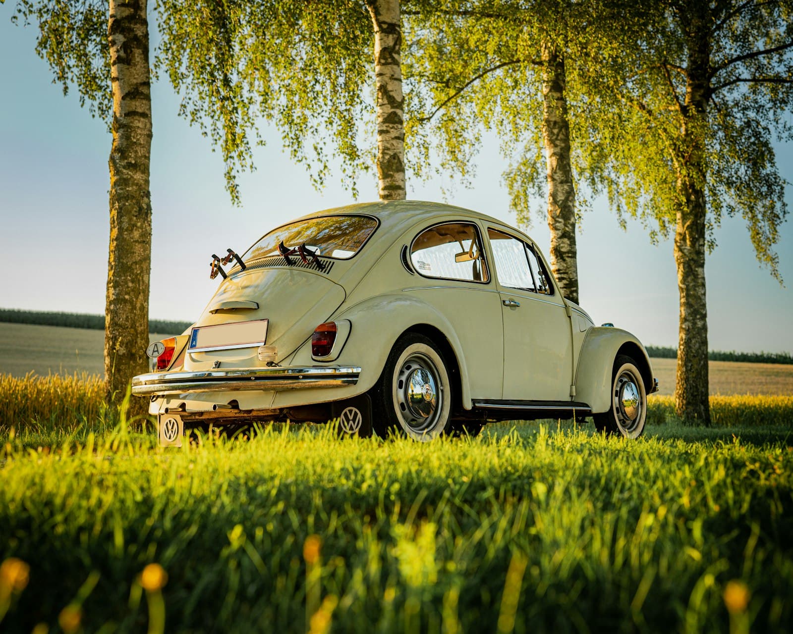 Wels — a white car parked in a field next to trees