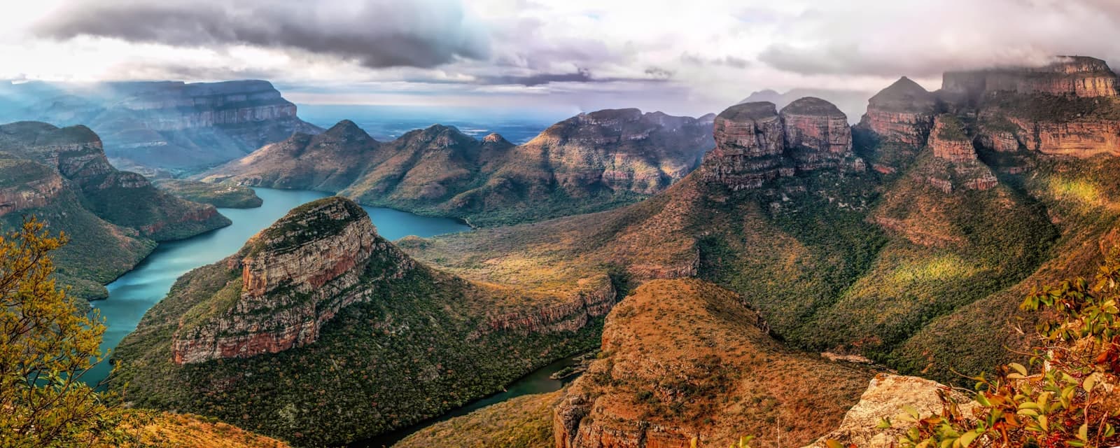 Wilderness — mountain cover with trees near the ocean