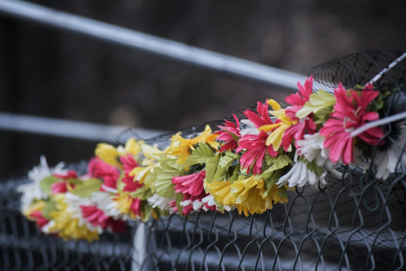 Wilmington — a basket of flowers