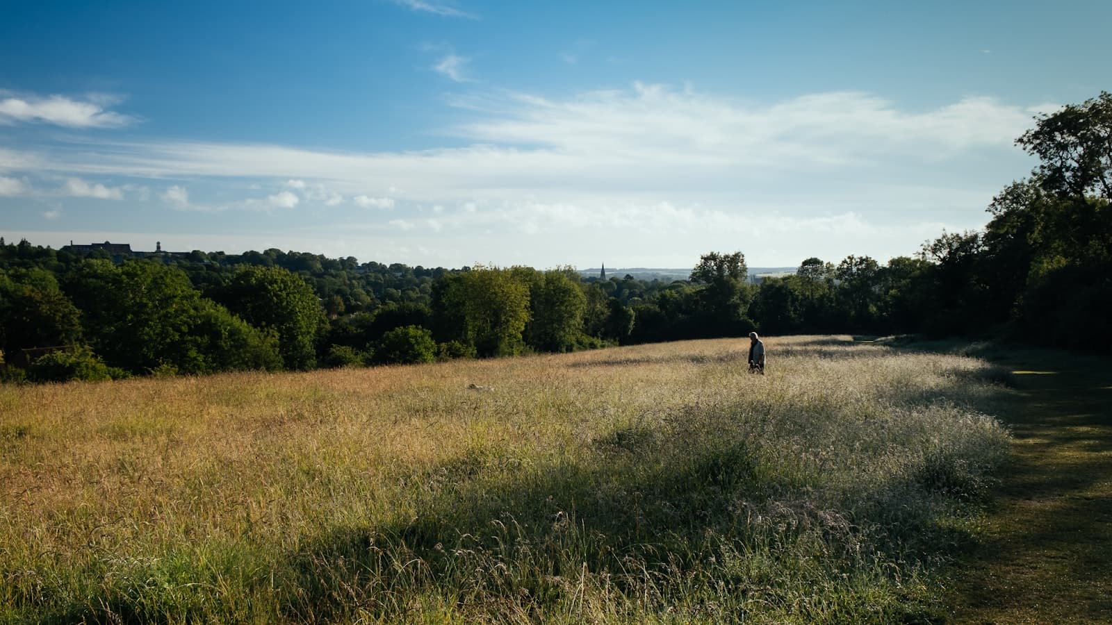 Winchester — person walking on green grass field during daytime