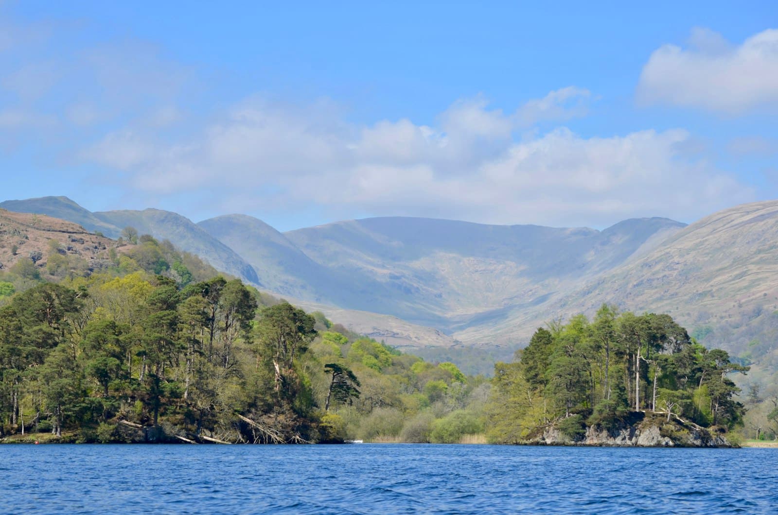 Windermere — green trees near body of water during daytime