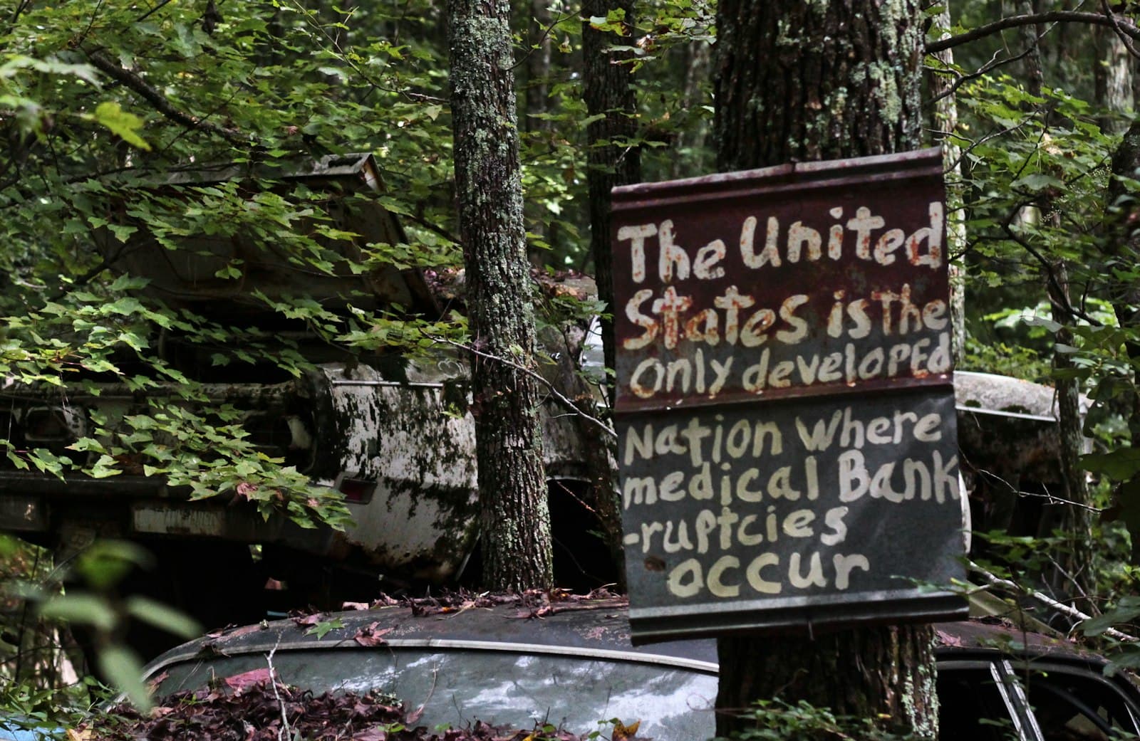 Woodstock — brown wooden signage near green trees during daytime
