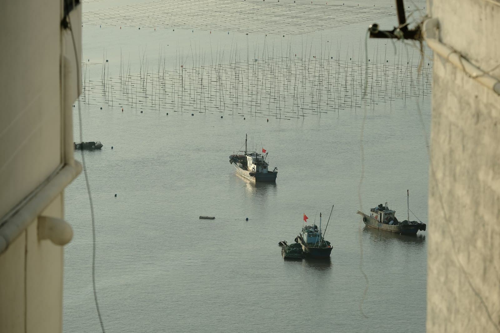 Xiapu — a group of boats floating on top of a body of water