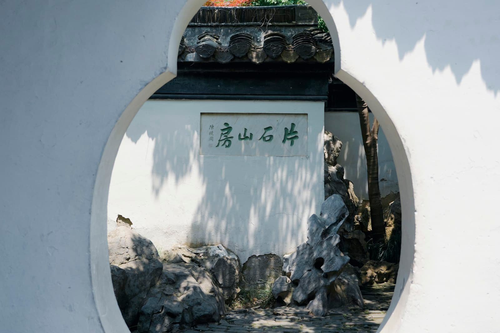 Yangzhou — A reflection of a potted plant in a mirror