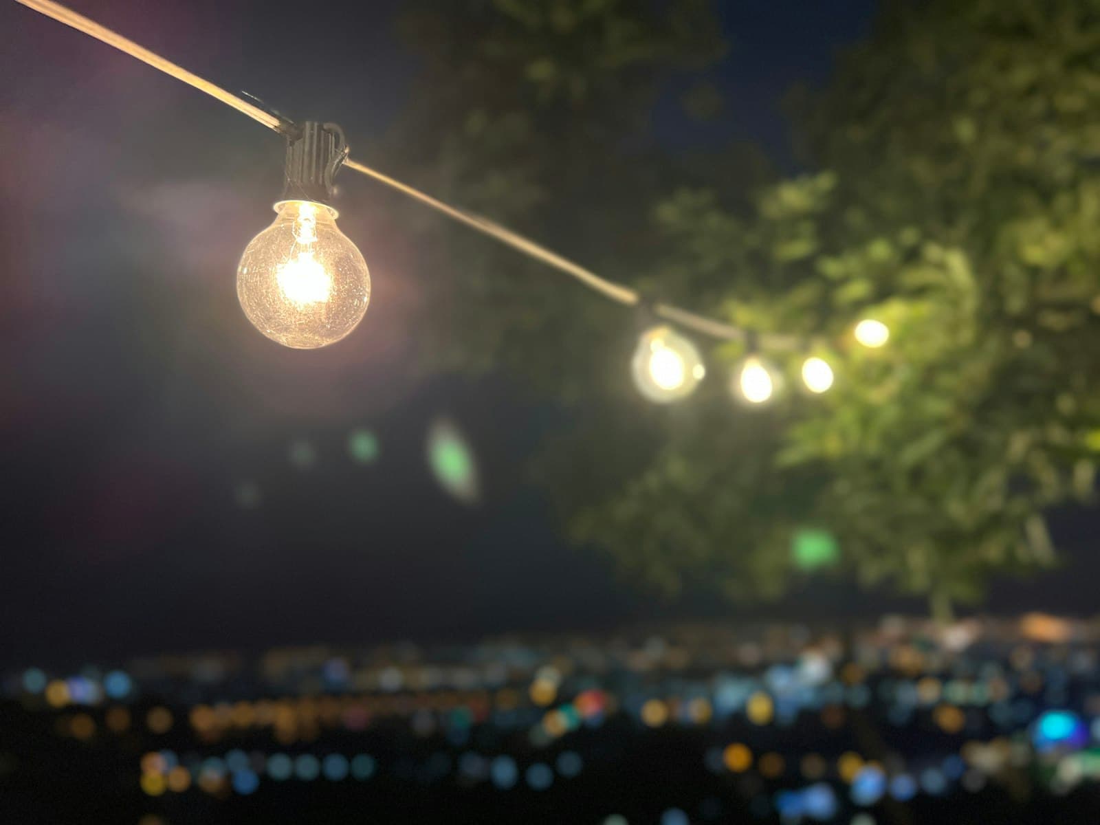 Yilan — a string of lights hanging from a tree