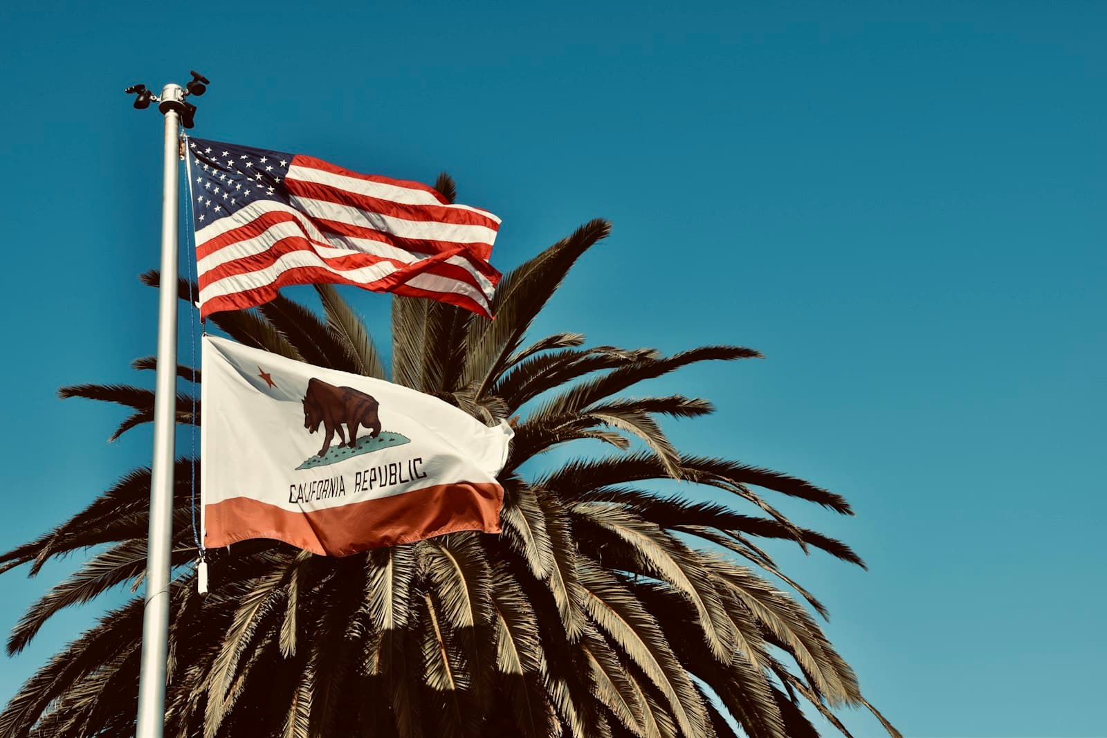 Yuma — a flag on a palm tree