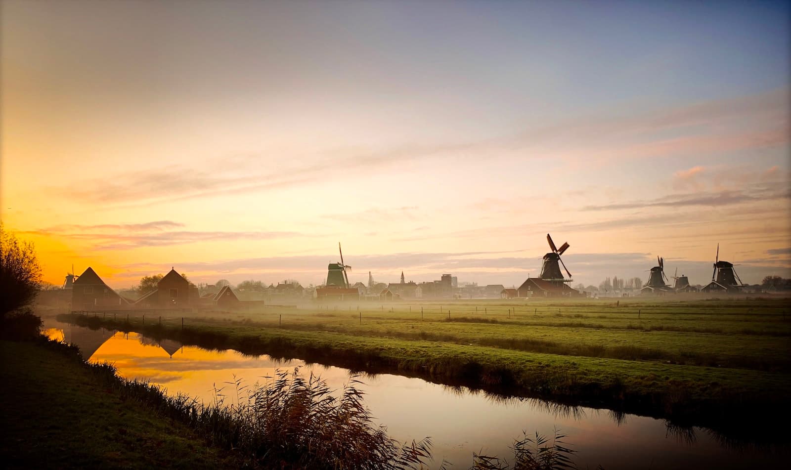 Zaandam — aerial photography of farmland