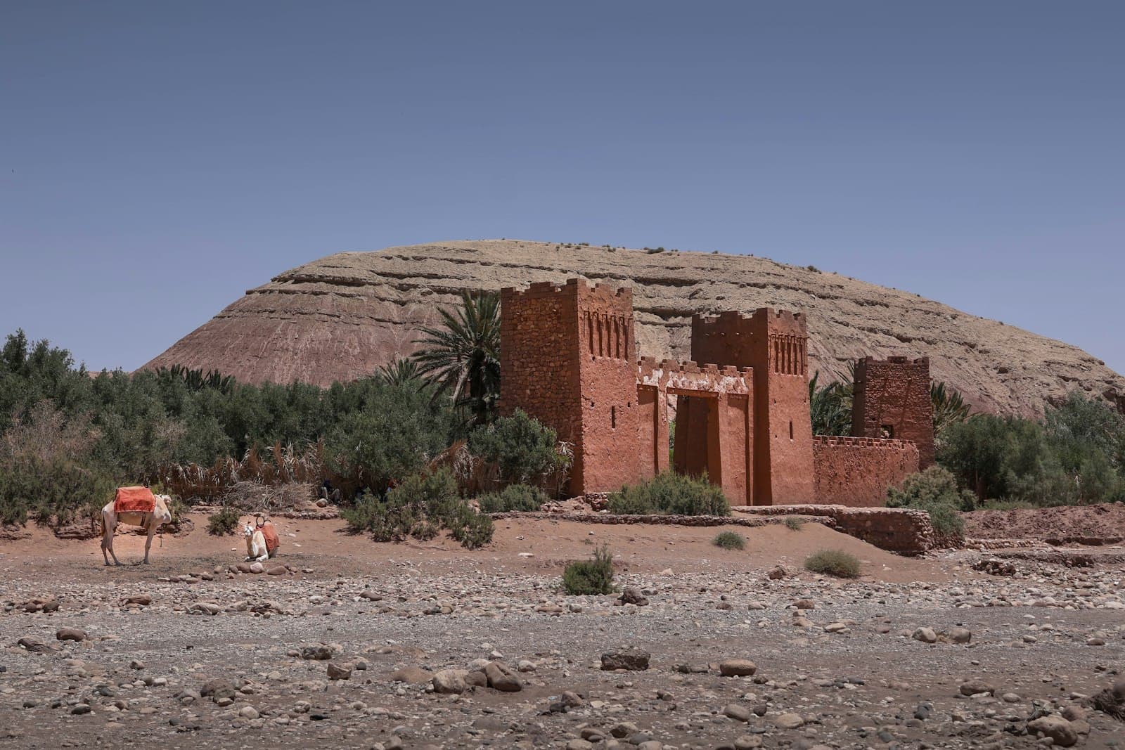 Zagora — a couple of people that are standing in the dirt