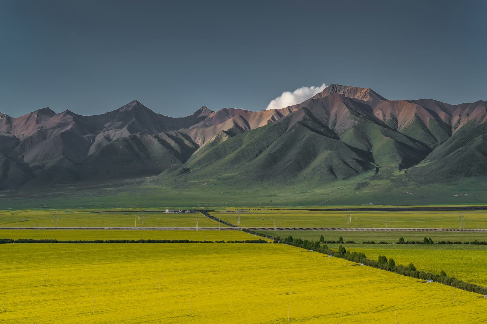 Zhangye — green grass field near mountain under blue sky during daytime