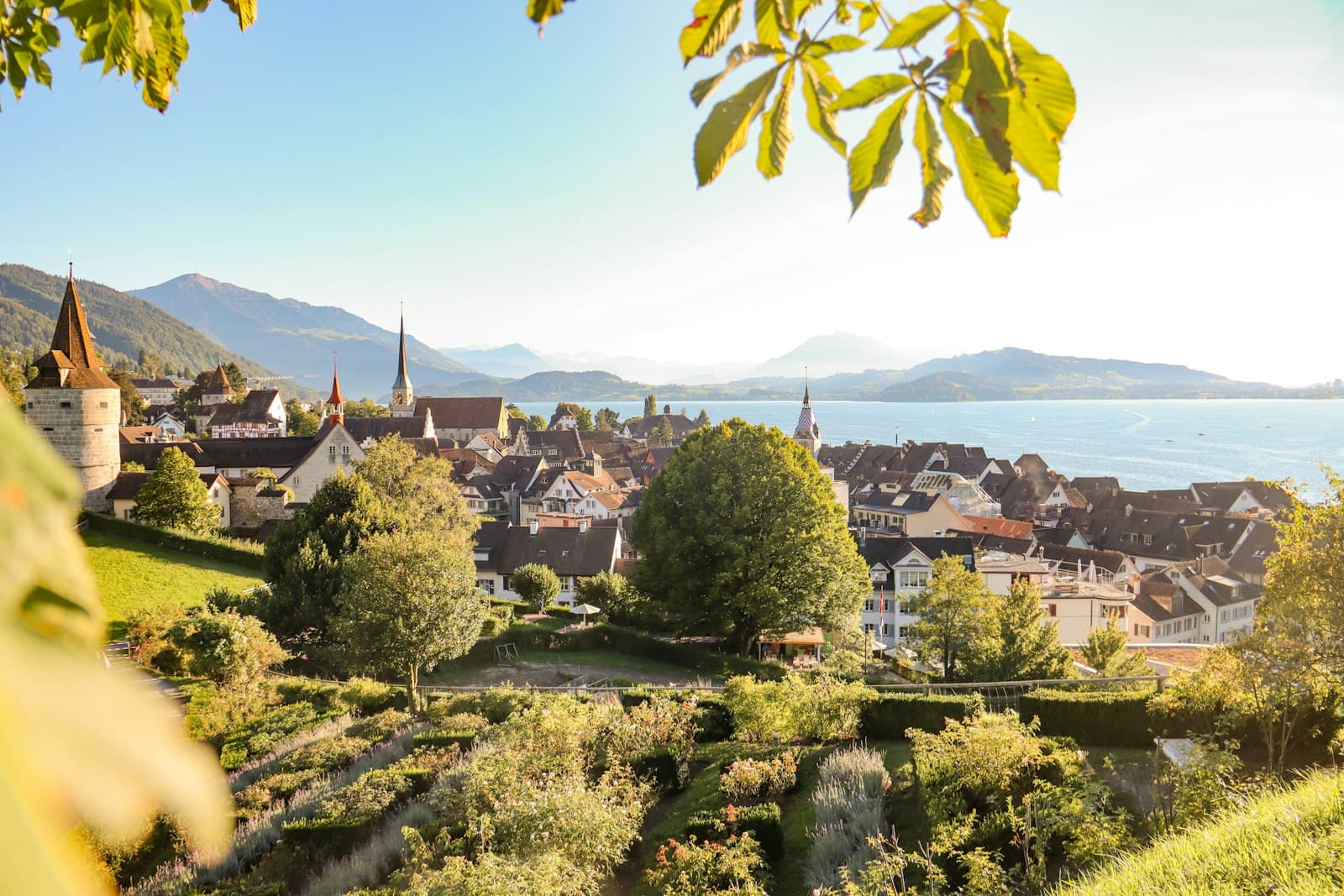 Zug — green trees and plants near brown and white buildings under blue sky during daytime